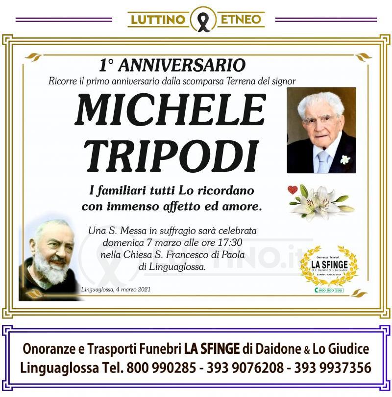 Michele  Tripodi 